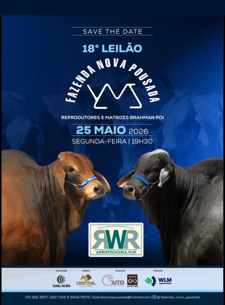 Banner do 18 Leilão Fazenda Nova Pousada raça Brahman